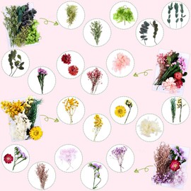 4 Bags Natural Dried Pressed Flowers Leaves Set, Mixed Dried Flowers Colorful Real Dry Flowers for DIY Candle Resin Jewelry Nail Crafts Pendant Floral Decoration Supplies