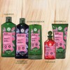 Yves Rocher Set Capilar Brillo Revelador Rubios, Blancos y Grises: