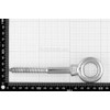Dutyhook 10X100 Eye Bolt With Wood Thread, Stainless Steel AISI