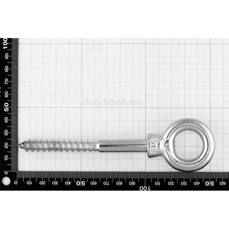 Dutyhook 10X100 Eye Bolt With Wood Thread, Stainless Steel AISI