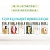 Toyo Case Sararica Silica Gel Desiccant for Seasonings, White, Size: