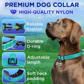 TECEUM Reflective Pet Collar – Teal – S – Extra Soft Padding – Basic Nylon Dog Collar – Quick Release Buckle – Fits Small, Medium and Large Dogs, Puppies, Cats – ESA & Service Dog Options