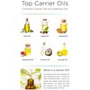Feelia - Essential Oils - 100% Pure & Natural, Premium