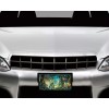 Twisted R Design Fairies in Forest Aluminum Front License Plate