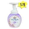 Ai Kkaekkeuthae Blooming Purple Liquid Hand Soap, 250ml x 5-Pack Foam