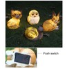 Solar Garden Light Ornament Animal Light LED Garden Decoration Lamp