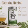 Moringa tea in 25 Biodegradable teabags in a premium tin
