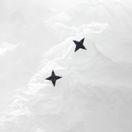 Richight Simple Silver 925 Black Small Star Stud Earrings, Pure Silver Mini Four-Pointed Star Shaped Zirconia Star Earrings