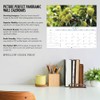 Trees 2023 Panoramic Wall Calendar
