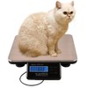 660lbs Digital Livestock Scale Pet Vet Scale Stainless Steel Platform