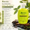 3 Shampoo Fernice Nutrición Capilar Niacinamida Y Zinc 350ml