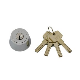 Daytime Edison Sepa Replacement Cylinder with 4 Keys Hds – LSP