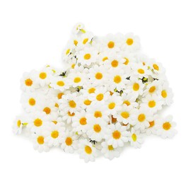 BornFeel Artificial Gerbera Flower Heads 100 Pieces Daisy Sunflowers Flower Heads for DIY Wedding Party Craft Table Scatter Decoration (White)
