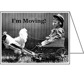 Flashcards Change of Address GREETING CARDS, I'm Moving! (Pack of 30 Cards & 30 Envelopes) Moving Announcements FN4273CAS-30