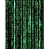 Computer Matrix Style Lines of Code Wall Mural. Green and
