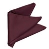 tiemart Wine Premium Pocket Square, Cocoa Bean