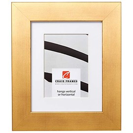 Craig Frames Bauhaus 200, 14 x 20 Inch Antique Gold Picture Frame Matted to Display a 11 x 17 Inch Photo