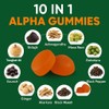 10 in 1 Alpha Gummies, 4000mg Himalayan Alpha Shilajit Gummies