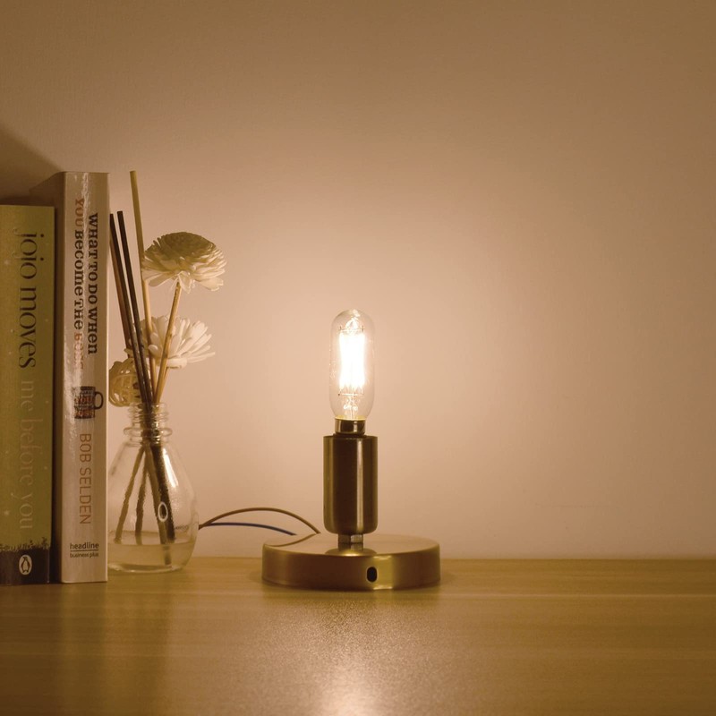 AIELIT T8 4W Classic LED Tube Light Bulb, E12 Mini