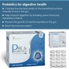Nutranexus - Pre & Probiotics Capsules - 45 Billion CFU