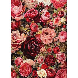 ZRIZQ Rose Paint by Number for Adults Beginners,12" Wx16 L Canvas for Painting Kits for Adults in Colorful Box,Paint by Numbers for Home Wall Art Decor-