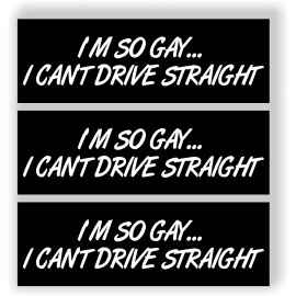 Work House Signs I'M SO GAY I CAN'T DRIVE STRAIGHT  set of 3 Magnets Funny Magnet bumper safety