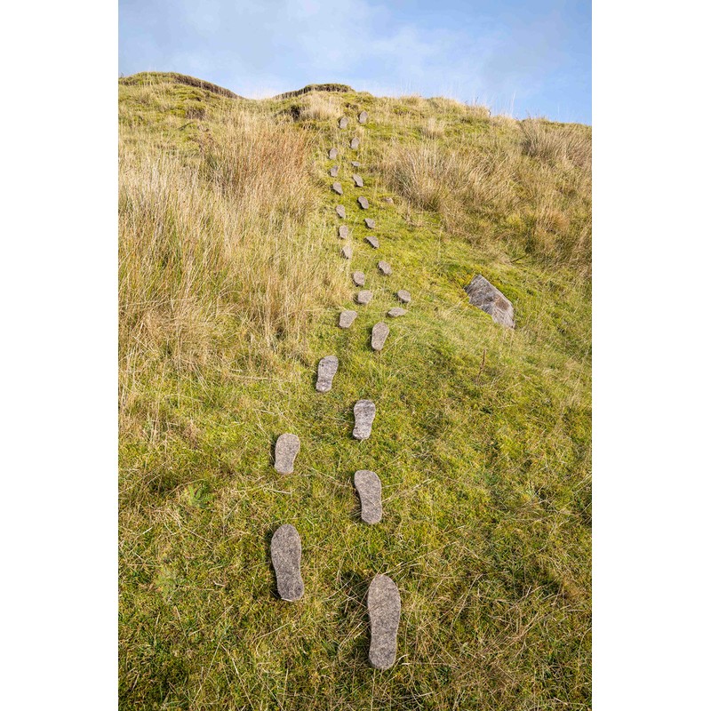 Women's Snug Feet 100% Herdwick Felt Boot Insole