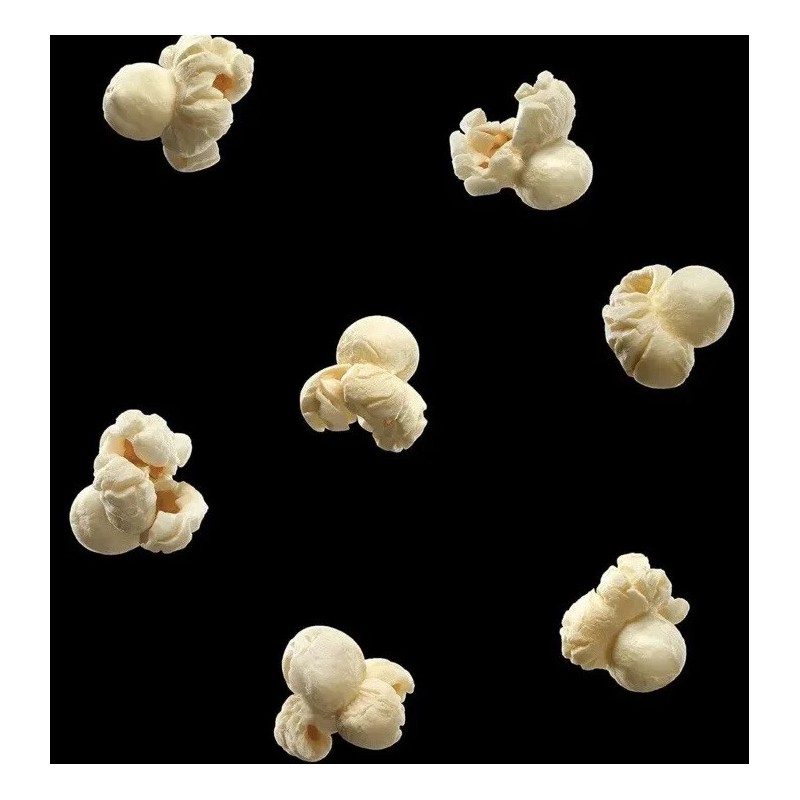 Smartfood White Cheddar Flavored Popcorn, 0.625 Ounce (Pack of 40)