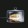 PolyScience Smoking Gun Pro Glass Cloche
