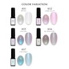 Color Gel Japan Artist Series Polarized Pearl Gel (AS5 Lavender)