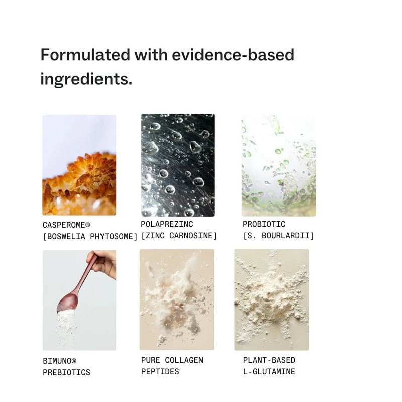 My Way Up Complete Gut Repair System Bundle