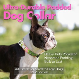 JC HOUSE Dog Collar for Large Dogs with Reflective Logo and Soft Padded Neoprene,Summer Tropical Leaf Design,Adjustable,Lightweight & Durable, Neck Size 16’’-25’’ (Leaf, L)