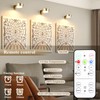 KELUOLY 2-Pack Picture Light Battery Operated Painting Lights for Wall,