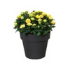 Elho 7611902343300 23 cm Green Basics Top Planter Flower Pot