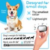 Extra Small Size Dog Training Collar with Remote for Small