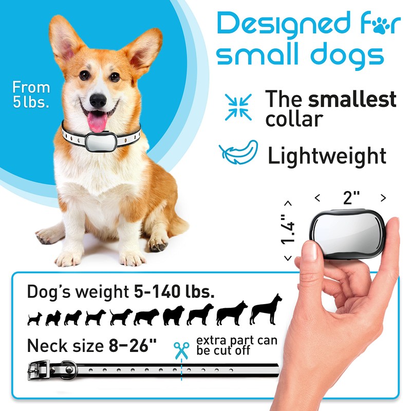 Extra Small Size Dog Training Collar with Remote for Small