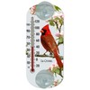 La Crosse Lacrosse 204-1081 8-inch Analog Capillary Window Thermometer with