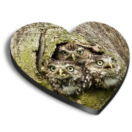 1 x Heart MDF Magnets - Owl Chicks Baby Bird Cute Wildlife 45962