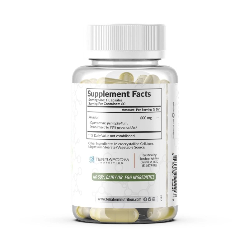 Terraform Nutrition Gynostemma Pentaphyllum Supplement – 98% Gypenoside Extract (20:1)