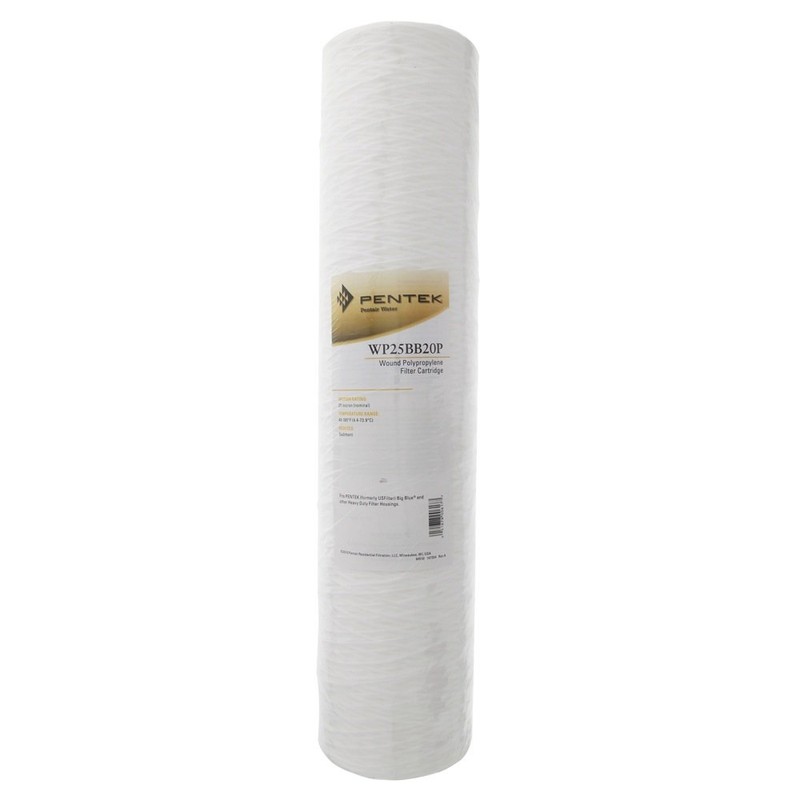 Pentair Pentek WP25BB20P Big Blue Sediment Water Filter, 20-Inch, Whole