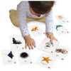 Tool-be Aquatic Animal Bilingual Flash Cards for Babies and Toddlers