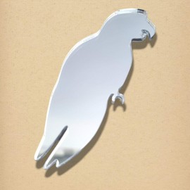 Super Cool Creations Parrot Mirror 18 inches x 10 inches