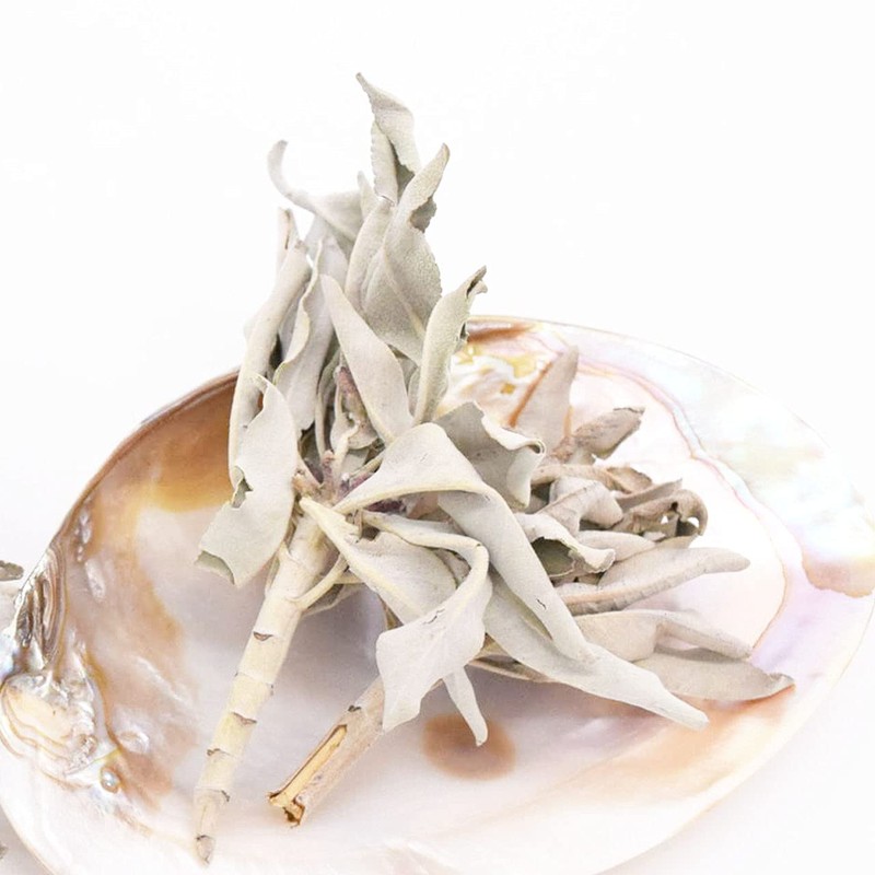 Aladdin Collection White Sage, 1.1 oz (30 g), White Sage,