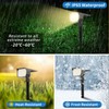 WENATY Solar Spot Lights Outdoor Waterproof IP65, 12 Pack Landscape