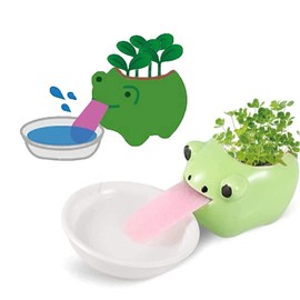 Mini macetas suculentas de autorriego, 1 paquete de macetas de cerámica con lengua y agujero de drenaje, maceta creativa pequeña de cactus (rana)