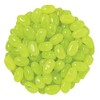 Bayside Candy Jelly Bean Collection All Flavors Jelly Beans (1LB,