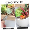 Outanaya 5Pcs Succulent Tweezers Tool Stainless Steel Gardening Tools for