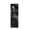 Attack on Titan wallscroll Slim Sasha Braus 30 x 90