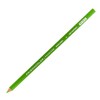 Prismacolor 3344 Spring Berol Pencil, Green