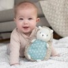 Ingenuity Premium Soft Plush Squeak Toy - Farrow The Hedgehog,